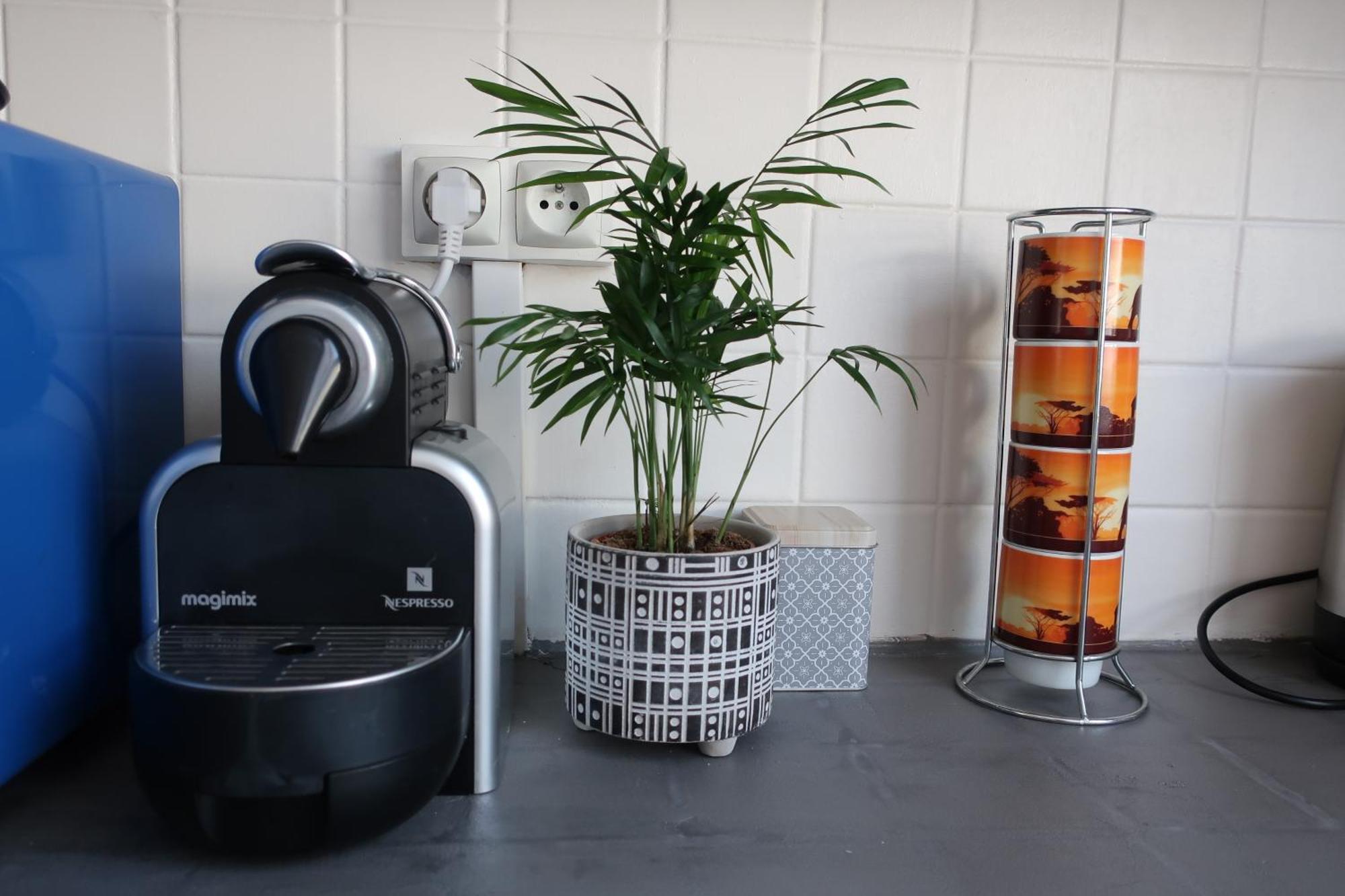 Appartement Avec Jardin Au Coeur De Rennes Eksteriør billede